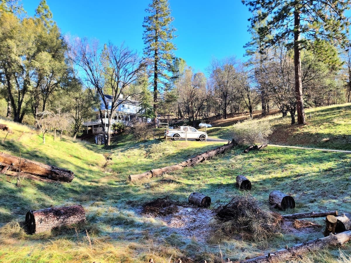 Lodge garden